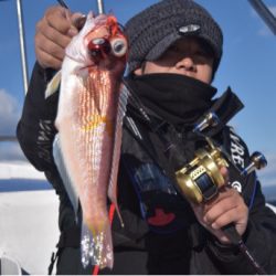 渡船屋たにぐち 釣果