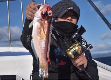 渡船屋たにぐち 釣果