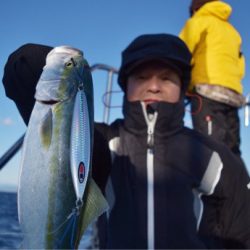 渡船屋たにぐち 釣果