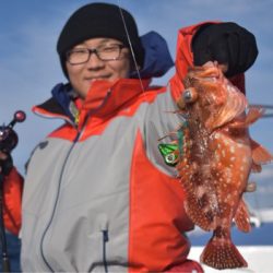 渡船屋たにぐち 釣果