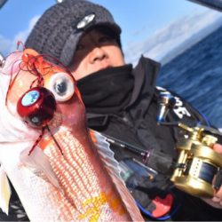 渡船屋たにぐち 釣果