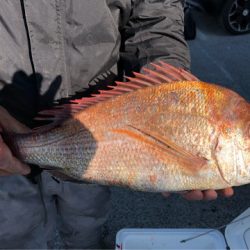 ぽん助丸 釣果