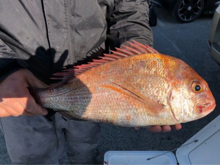 ぽん助丸 釣果