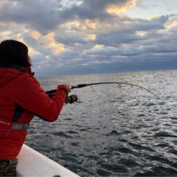 山正丸 釣果