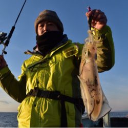 渡船屋たにぐち 釣果