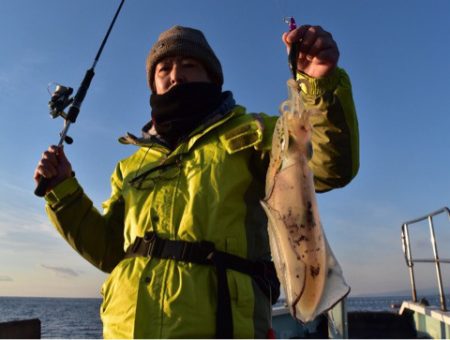 渡船屋たにぐち 釣果