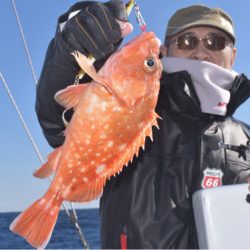 渡船屋たにぐち 釣果