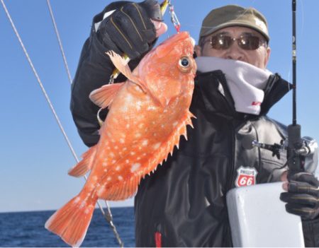 渡船屋たにぐち 釣果