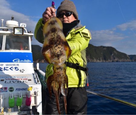 渡船屋たにぐち 釣果