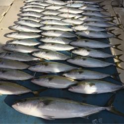 大雄丸 釣果