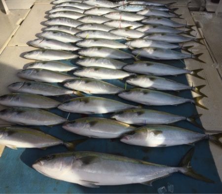 大雄丸 釣果