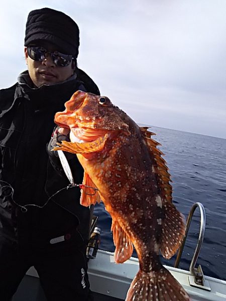 光生丸 釣果