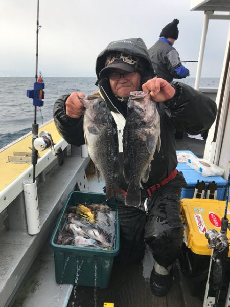 シーランチ 釣果