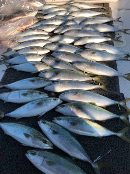 ビッグファイター 釣果