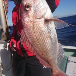 だて丸 釣果