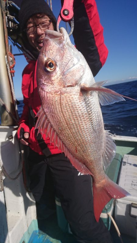 だて丸 釣果