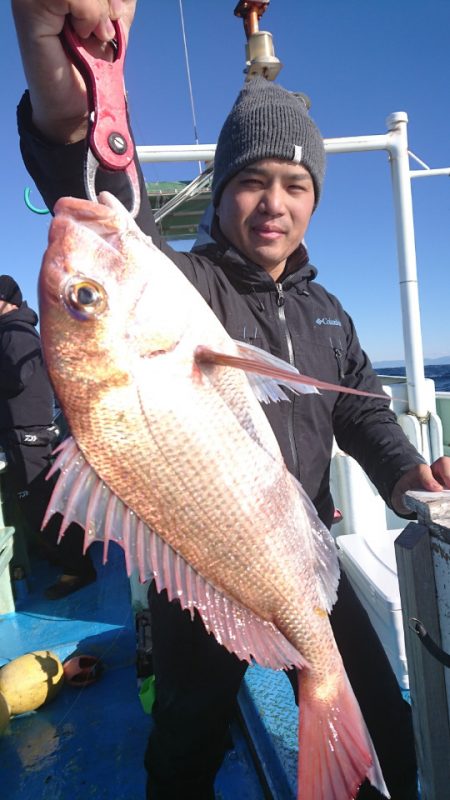 だて丸 釣果