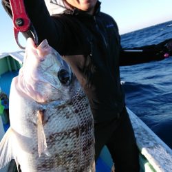 だて丸 釣果