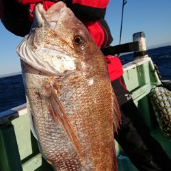 だて丸 釣果