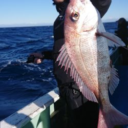 だて丸 釣果