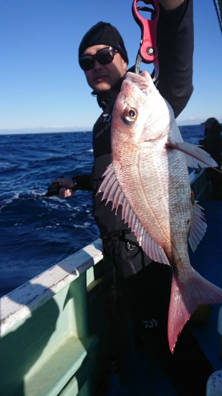 だて丸 釣果