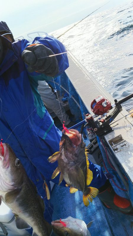 芳陽丸 釣果