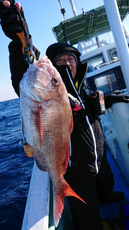 だて丸 釣果