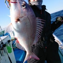 だて丸 釣果