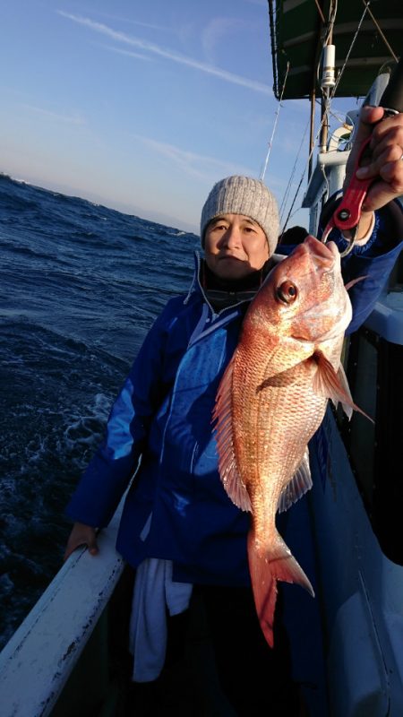 だて丸 釣果