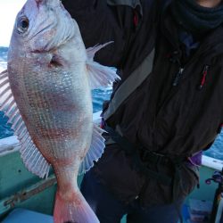 だて丸 釣果