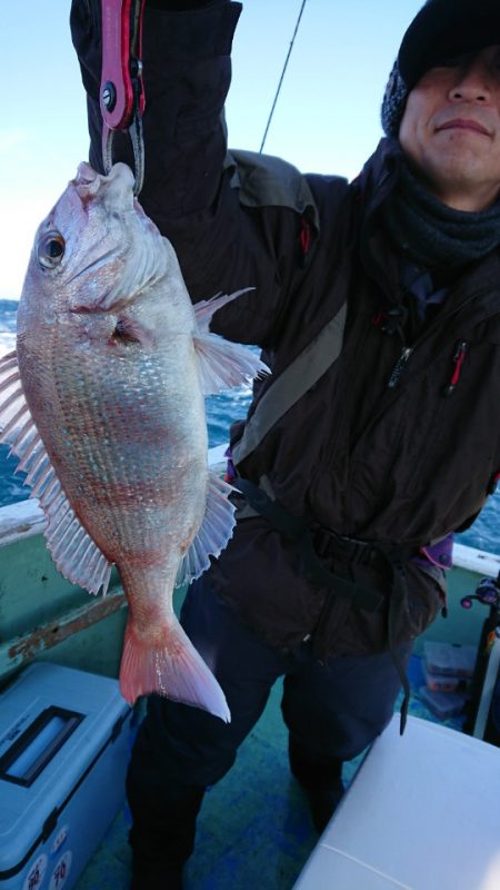 だて丸 釣果