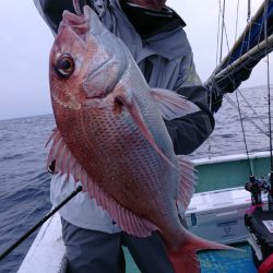 だて丸 釣果