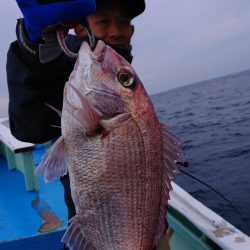 だて丸 釣果