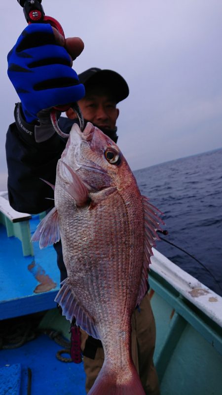 だて丸 釣果