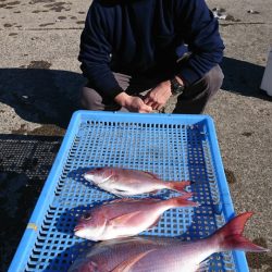 第三共栄丸 釣果