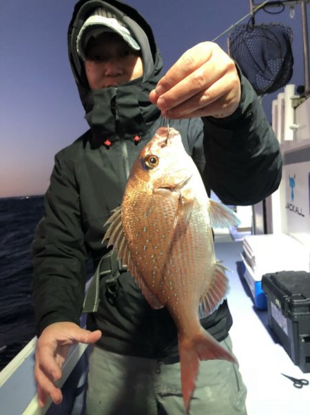 新幸丸 釣果