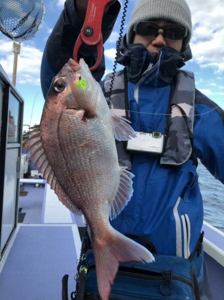 新幸丸 釣果