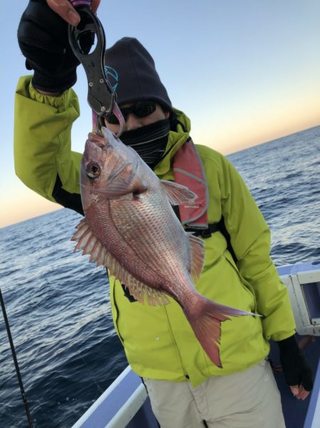 新幸丸 釣果