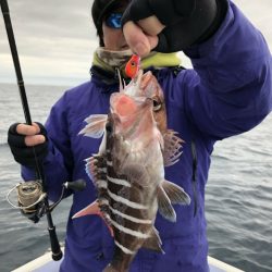 新幸丸 釣果