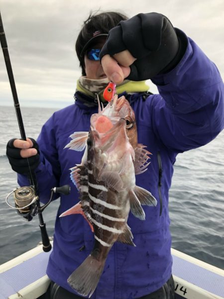 新幸丸 釣果