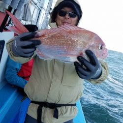 みやけ丸 釣果