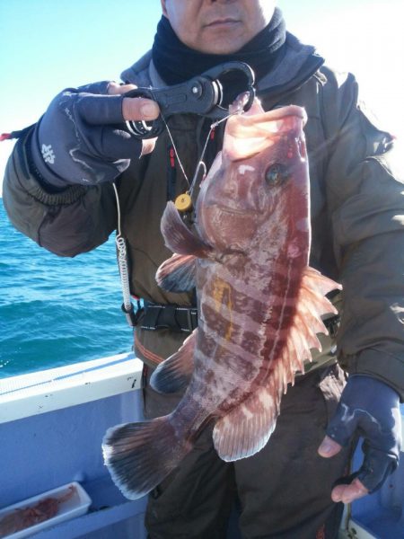 新幸丸 釣果