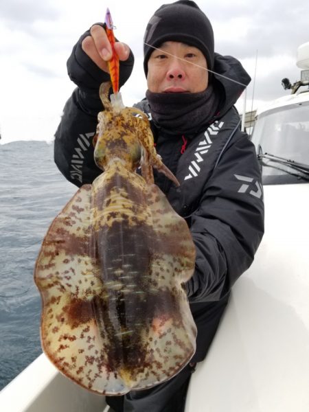 ソルトウォーターガイドフレンズ 釣果