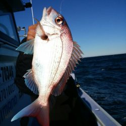 新幸丸 釣果