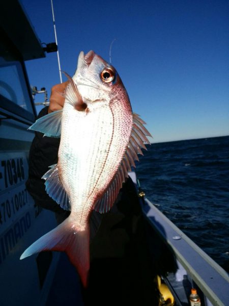 新幸丸 釣果