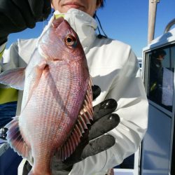 新幸丸 釣果