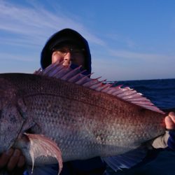 だて丸 釣果