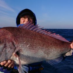 だて丸 釣果