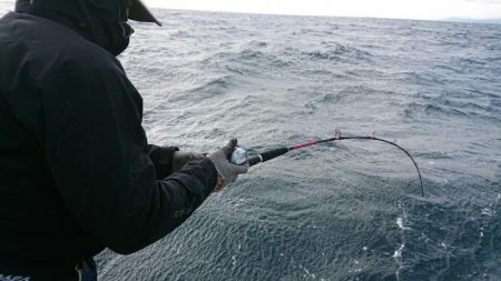 阿波哲 釣果