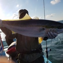 みやけ丸 釣果